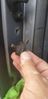 Filename : 20220821_124722.jpg
Filesize : 190KB
Dimensions : 995x2047
Date added : Aug 21, 2022 20220821_124722.jpg