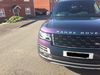 Filename : B0825734-0671-482D-8C35-67A9B298E751.jpeg
Filesize : 625KB
Dimensions : 2048x1536
Date added : Mar 26, 2019 B0825734-0671-482D-8C35-67A9B298E751.jpeg