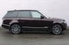 Filename : Range Rover Ruffina 1.jpeg
Filesize : 308KB
Dimensions : 1024x683
Date added : Mar 17, 2018 Range Rover Ruffina 1.jpeg