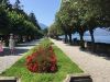 Filename : AEB1E5DC-5A00-4688-BD9E-23E0F7038008.jpeg
Filesize : 835KB
Dimensions : 2048x1536
Date added : Aug 04, 2018 AEB1E5DC-5A00-4688-BD9E-23E0F7038008.jpeg
