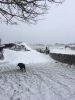 Filename : Snow~1.JPG
Filesize : 115KB
Dimensions : 480x640
Date added : Mar 02, 2018 Snow~1.JPG