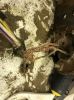 Filename : IMG_2337s.png
Filesize : 2521KB
Dimensions : 800x1067
Date added : Aug 23, 2018 IMG_2337s.png