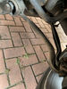 Filename : IMG_4107s.jpg
Filesize : 1097KB
Dimensions : 1500x2000
Date added : Aug 11, 2019 IMG_4107s.jpg