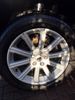 Filename : IMG_0076.JPG
Filesize : 840KB
Dimensions : 1224x1632
Date added : Feb 24, 2019 IMG_0076.JPG