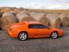Filename : My GT3 Blanchland.jpg
Filesize : 541KB
Dimensions : 2048x1536
Date added : Oct 16, 2018 My GT3 Blanchland.jpg
