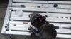 Filename : 20190412_152514.jpg
Filesize : 348KB
Dimensions : 2048x1152
Date added : Apr 12, 2019 20190412_152514.jpg