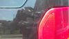 Filename : 20190627_115613.jpg
Filesize : 271KB
Dimensions : 2048x1152
Date added : Jun 30, 2019 20190627_115613.jpg