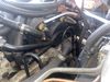 IMG_9142.jpeg