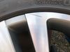 Filename : IMG_2978.jpeg
Filesize : 299KB
Dimensions : 2048x1536
Date added : Jun 01, 2019 IMG_2978.jpeg