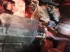 Filename : Crank sensor 8.jpg
Filesize : 338KB
Dimensions : 2048x1536
Date added : Jul 05, 2020 Crank sensor 8.jpg