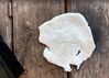 Filename : Claybar.jpg
Filesize : 372KB
Dimensions : 1325x947
Date added : Jul 01, 2020 Claybar.jpg