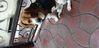 Filename : 20190914_080310.jpg
Filesize : 379KB
Dimensions : 2047x995
Date added : May 17, 2020 20190914_080310.jpg