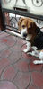 Filename : 20190914_080310~0.jpg
Filesize : 413KB
Dimensions : 995x2047
Date added : May 17, 2020 20190914_080310~0.jpg