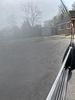 Filename : polish.jpg
Filesize : 422KB
Dimensions : 1536x2048
Date added : May 01, 2020 polish.jpg