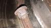 Filename : 53DAE8F8-9295-4B70-A919-C3B17E6ACEA6.jpeg
Filesize : 380KB
Dimensions : 2047x1152
Date added : Dec 19, 2020 53DAE8F8-9295-4B70-A919-C3B17E6ACEA6.jpeg