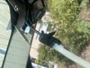 Filename : 17EC55F6-29C5-49CB-A9F6-70A06C36391C.jpeg
Filesize : 235KB
Dimensions : 2048x1536
Date added : Aug 23, 2020 17EC55F6-29C5-49CB-A9F6-70A06C36391C.jpeg