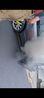 Filename : 1000179990.jpg
Filesize : 159KB
Dimensions : 921x2047
Date added : May 04, 2024 1000179990.jpg