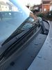 Filename : IMG_2058.jpg
Filesize : 286KB
Dimensions : 1536x2048
Date added : Feb 18, 2021 IMG_2058.jpg