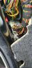 Filename : 20210725_162359.jpg
Filesize : 434KB
Dimensions : 969x2048
Date added : Jul 28, 2021 20210725_162359.jpg