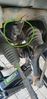 Filename : 20230615_234332.jpg
Filesize : 269KB
Dimensions : 969x2048
Date added : Jun 26, 2023 20230615_234332.jpg