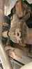 Filename : 20230626_122503.jpg
Filesize : 315KB
Dimensions : 970x2047
Date added : Jun 27, 2023 20230626_122503.jpg