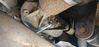 Filename : 20230626_132617.jpg
Filesize : 174KB
Dimensions : 1750x829
Date added : Jun 27, 2023 20230626_132617.jpg