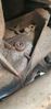 Filename : 20230626_135028.jpg
Filesize : 291KB
Dimensions : 969x2048
Date added : Jun 27, 2023 20230626_135028.jpg