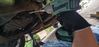 Filename : 20230627_195517.jpg
Filesize : 170KB
Dimensions : 1750x829
Date added : Jun 27, 2023 20230627_195517.jpg