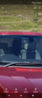 Filename : Screenshot_20220906-103015.png
Filesize : 3035KB
Dimensions : 877x2046
Date added : Sep 06, 2022 Screenshot_20220906-103015.png