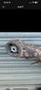 IMG_3359.png