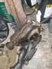Filename : 20230406_212827.jpg
Filesize : 585KB
Dimensions : 1536x2048
Date added : Apr 06, 2023 20230406_212827.jpg