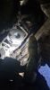 Filename : IMG-20230501-WA0063.jpeg
Filesize : 173KB
Dimensions : 1152x2048
Date added : May 02, 2023 IMG-20230501-WA0063.jpeg