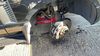 Filename : 2021-09-29 15.03.39.jpg
Filesize : 477KB
Dimensions : 1750x984
Date added : Nov 16, 2021 2021-09-29 15.03.39.jpg