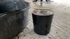 Filename : 2021-10-14 14.07.49 Transfer Case Oil .JPG
Filesize : 265KB
Dimensions : 1750x984
Date added : Oct 14, 2021 2021-10-14 14.07.49 Transfer Case Oil .JPG