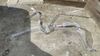 Filename : 32F31978-5A4C-45F2-80E6-98DB2C01753D.jpeg
Filesize : 484KB
Dimensions : 1750x984
Date added : May 17, 2022 32F31978-5A4C-45F2-80E6-98DB2C01753D.jpeg