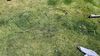 Filename : A9763983-413E-4F53-BDFC-8208F10E38E5.jpeg
Filesize : 812KB
Dimensions : 1750x984
Date added : May 17, 2022 A9763983-413E-4F53-BDFC-8208F10E38E5.jpeg
