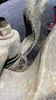 Filename : IMG_6279.JPG
Filesize : 329KB
Dimensions : 1152x2048
Date added : Mar 23, 2022 IMG_6279.JPG