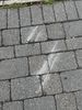 IMG_6946.jpeg