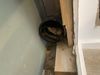 Filename : IMG_2222.jpeg
Filesize : 195KB
Dimensions : 1750x1313
Date added : Nov 20, 2024 IMG_2222.jpeg