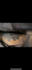 Filename : IMG_4568.png
Filesize : 3761KB
Dimensions : 946x2047
Date added : Apr 24, 2024 IMG_4568.png