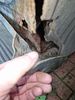 Filename : 20250721_180119.jpg
Filesize : 341KB
Dimensions : 1536x2048
Date added : Jul 22, 2025 20250721_180119.jpg