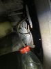 Filename : IMG_8441.jpg
Filesize : 305KB
Dimensions : 1536x2048
Date added : May 18, 2024 IMG_8441.jpg