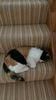 Filename : B008C28A-5154-4E3E-A34B-D47399EB4D77.jpeg
Filesize : 409KB
Dimensions : 1152x2048
Date added : Feb 14, 2023 B008C28A-5154-4E3E-A34B-D47399EB4D77.jpeg