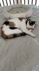 Filename : E1FA8CC6-159B-47E4-8863-5793AD9BB412.jpeg
Filesize : 296KB
Dimensions : 1152x2048
Date added : Feb 14, 2023 E1FA8CC6-159B-47E4-8863-5793AD9BB412.jpeg