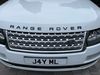 Range Rover 4.jpg