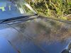 IMG_4813.jpeg