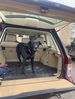 Filename : M RR.jpg
Filesize : 299KB
Dimensions : 739x979
Date added : Apr 03, 2024 M RR.jpg