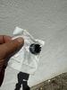 IMG_7834.jpeg
