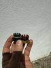 IMG_7835.jpeg