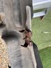 IMG_6470.jpeg